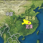 武漢ウィルスの由来